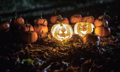 Halloween and Harvest at Georgia State parks
