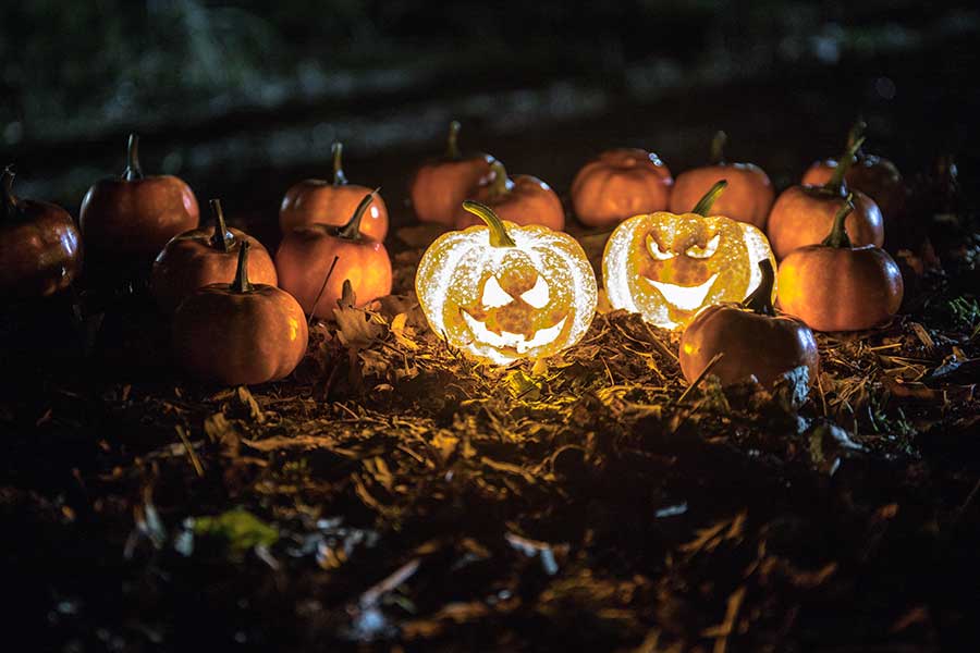 Halloween and Harvest at Georgia State parks