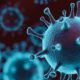 Food Safety and the Coronavirus Disease
