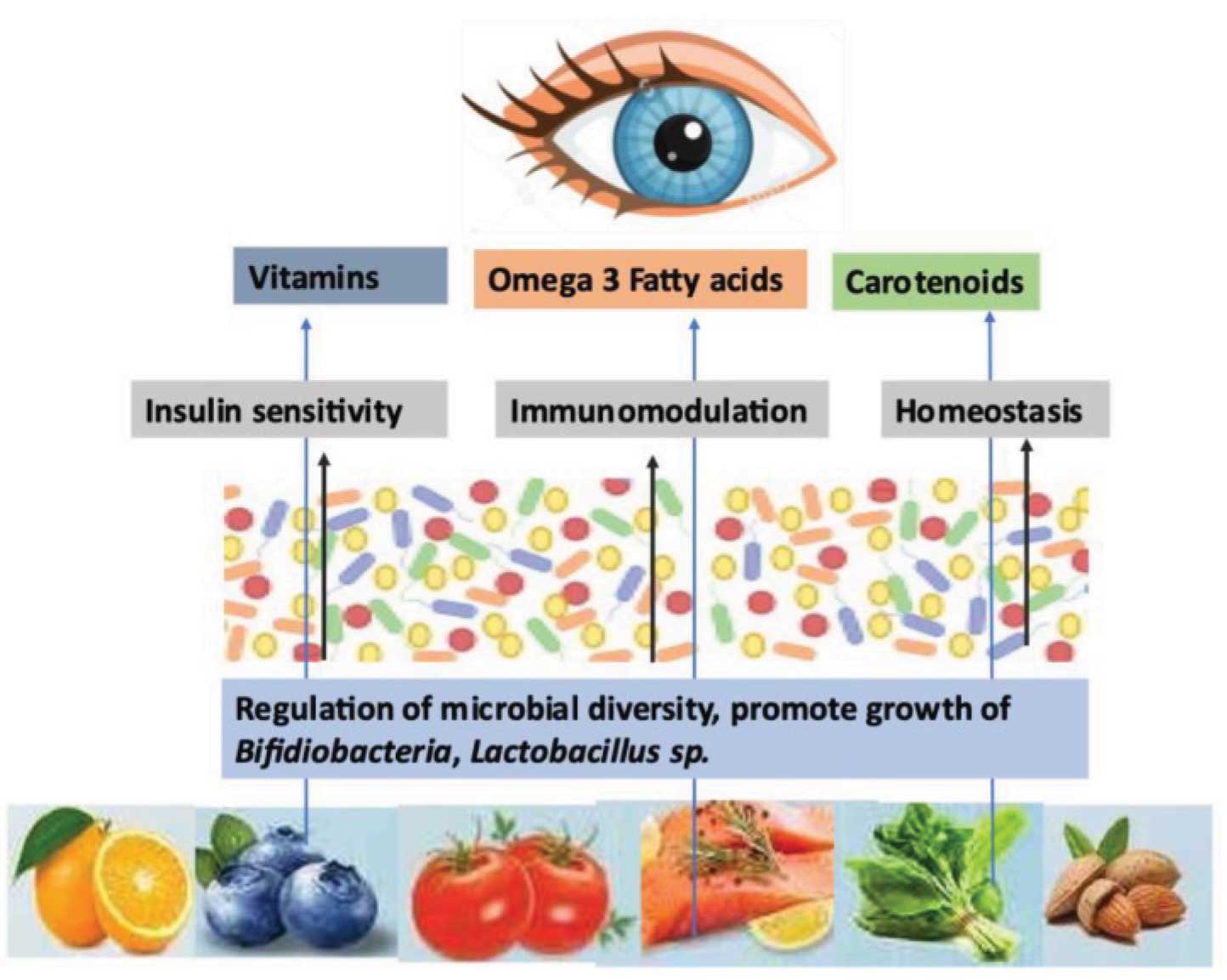 Ocular Health Visual