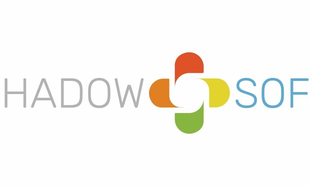 Shadow Soft Logo