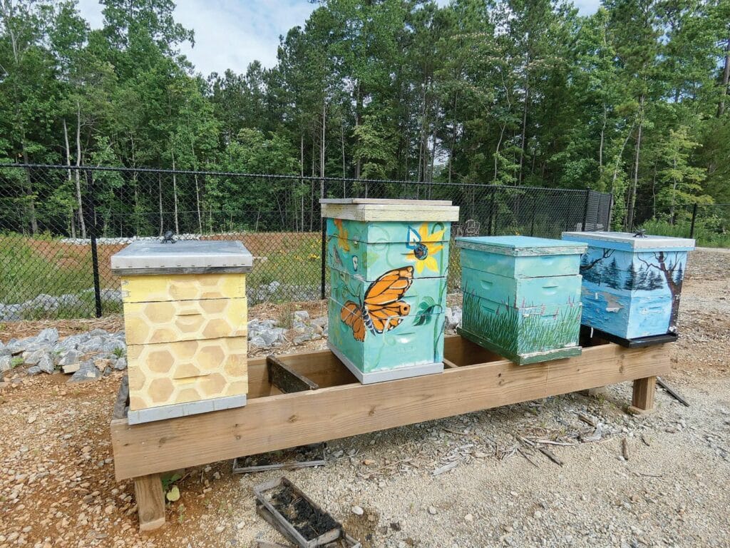 Honeybee boxes painted by local artists