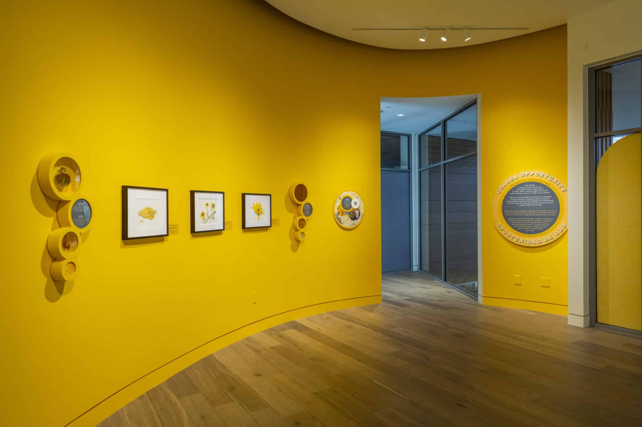 Museum display of framed pieces on a yellow wall