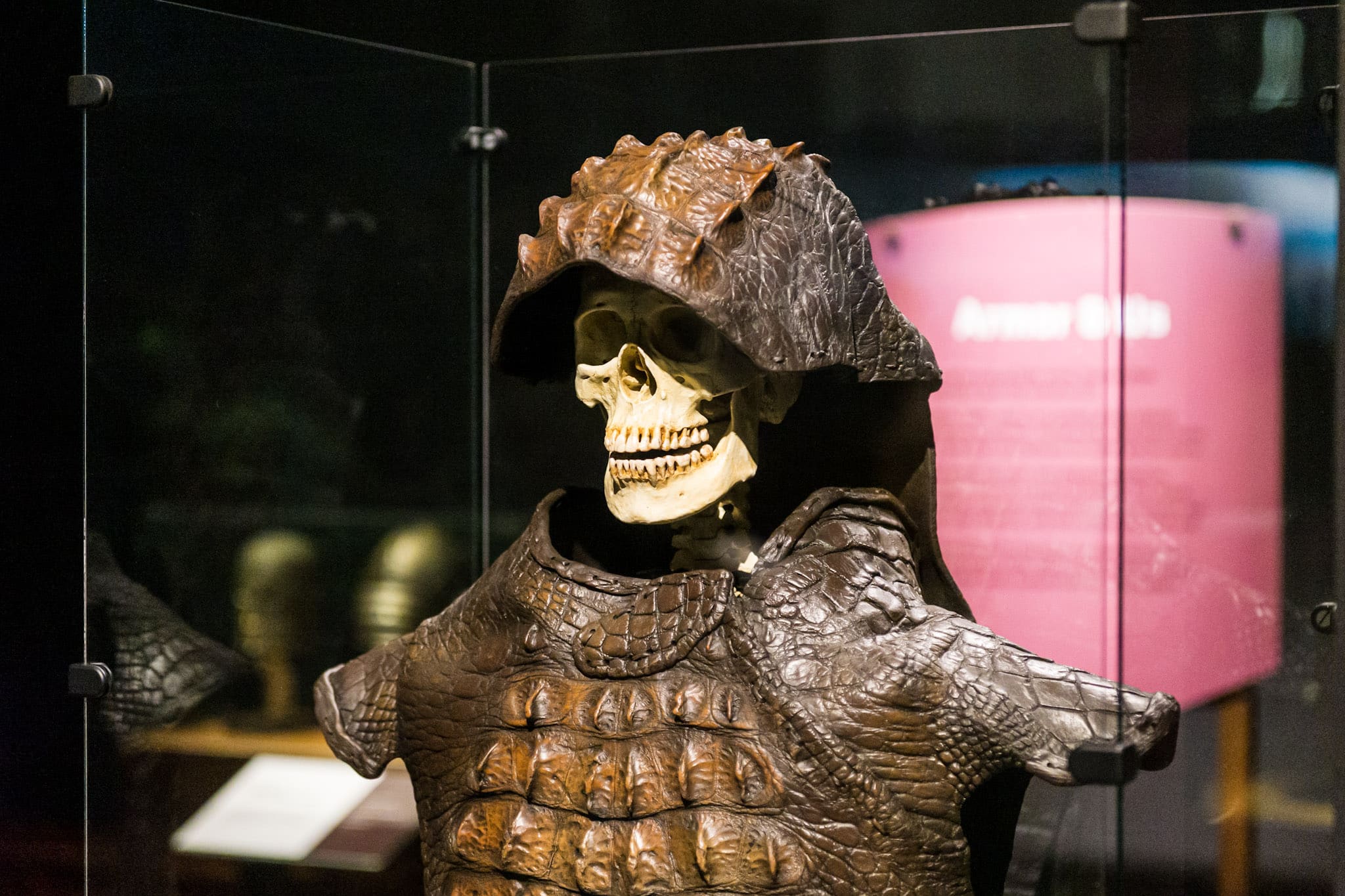 skeleton wearing helmet and armor on display at a museum