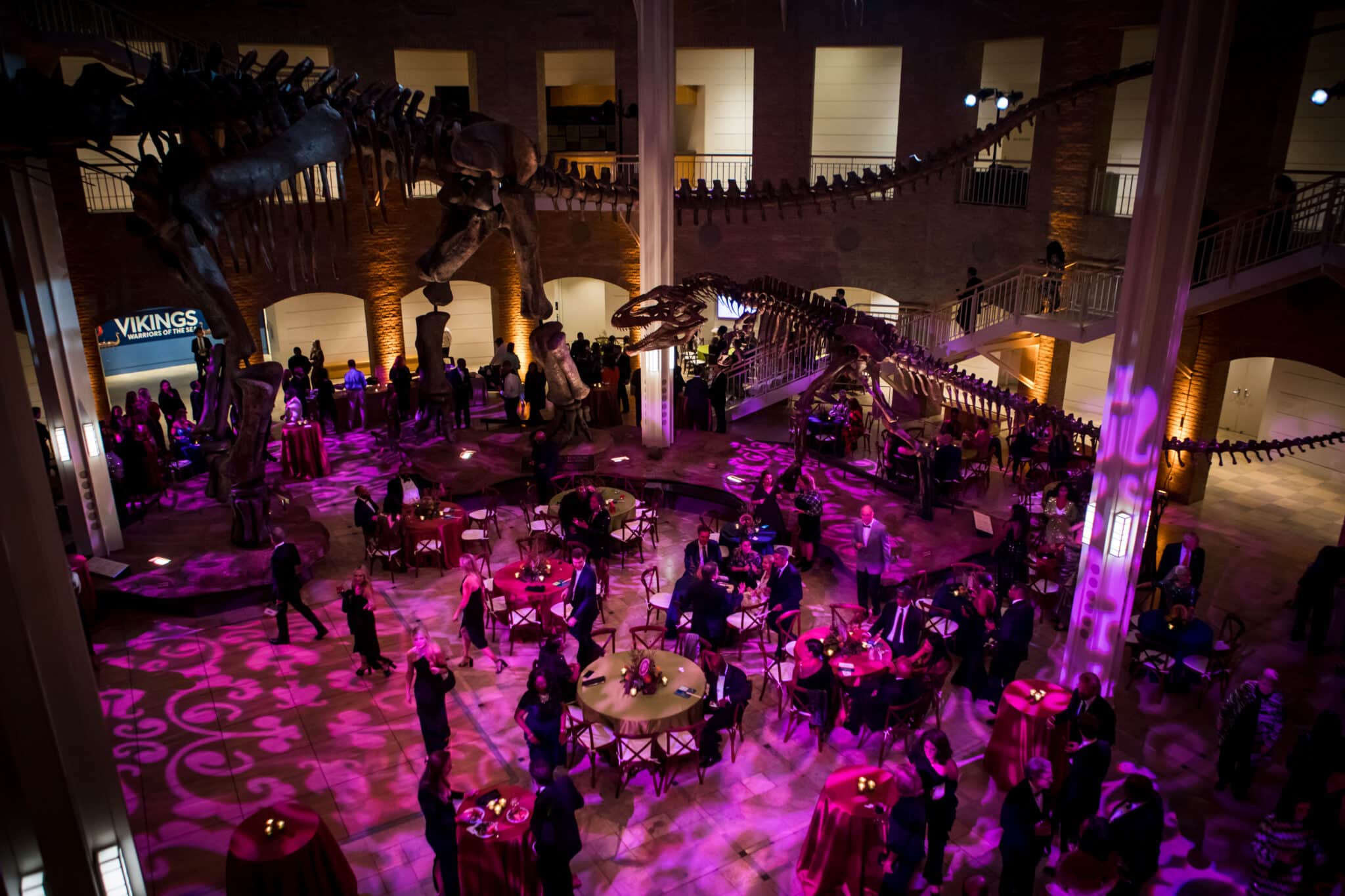 Group of people gathered in a natural history museum at night for a fundraising gala