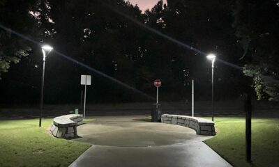 Elegant solar lights along a city walking path