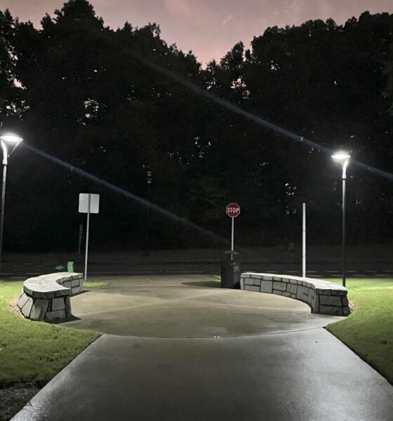 Elegant solar lights along a city walking path