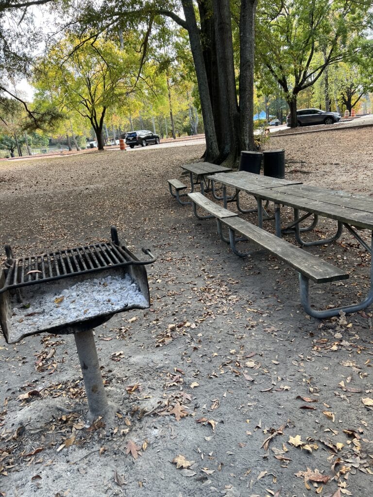 Grill and picnic tables at Jones Bridge Park with cars parked in the background