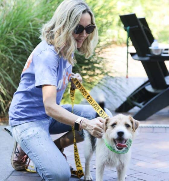 Blonde haired woman wearing sunglasses, kneeling down to pet a brown and white dog on a leash. They are outside on a patio with green plants behind them.