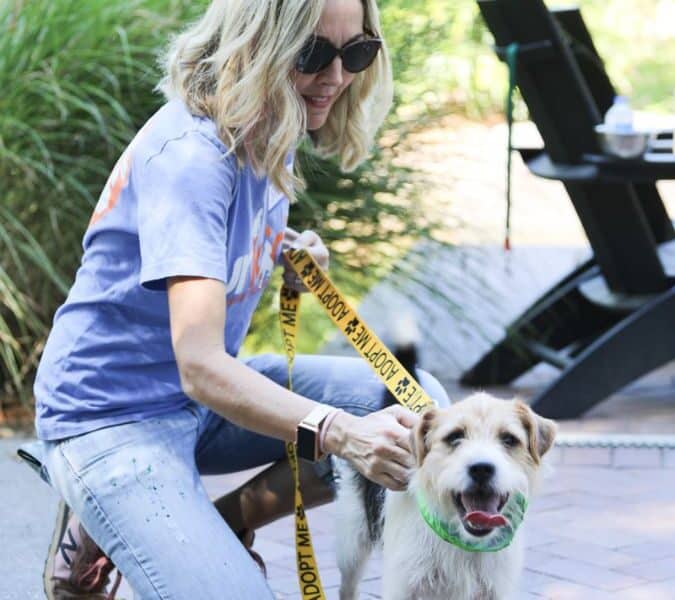 Blonde haired woman wearing sunglasses, kneeling down to pet a brown and white dog on a leash. They are outside on a patio with green plants behind them.