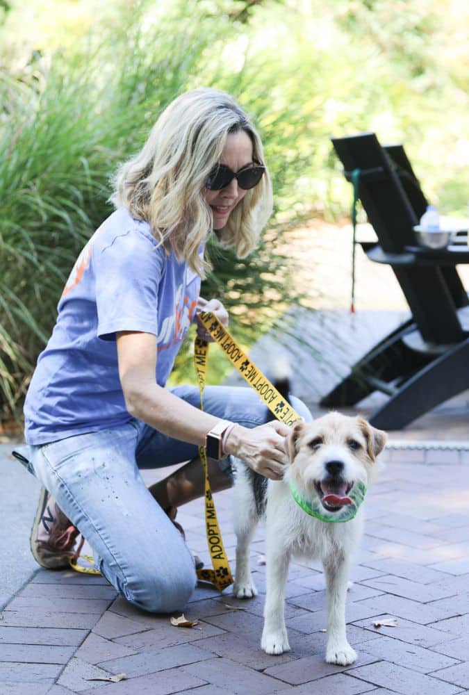 Blonde haired woman wearing sunglasses, kneeling down to pet a brown and white dog on a leash. They are outside on a patio with green plants behind them.