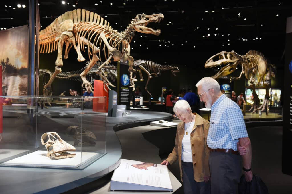 An older couple reading information in front of a dinosaur bone display at a natural history museum exhibit