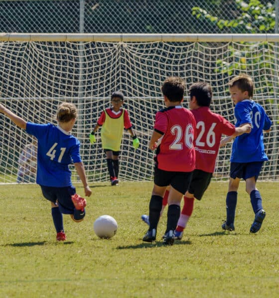 A group of kids, some in blue jerseys and some in red, playing soccer. Number 41 is kicking the ball towards the goal, where the other team's goalie waits.