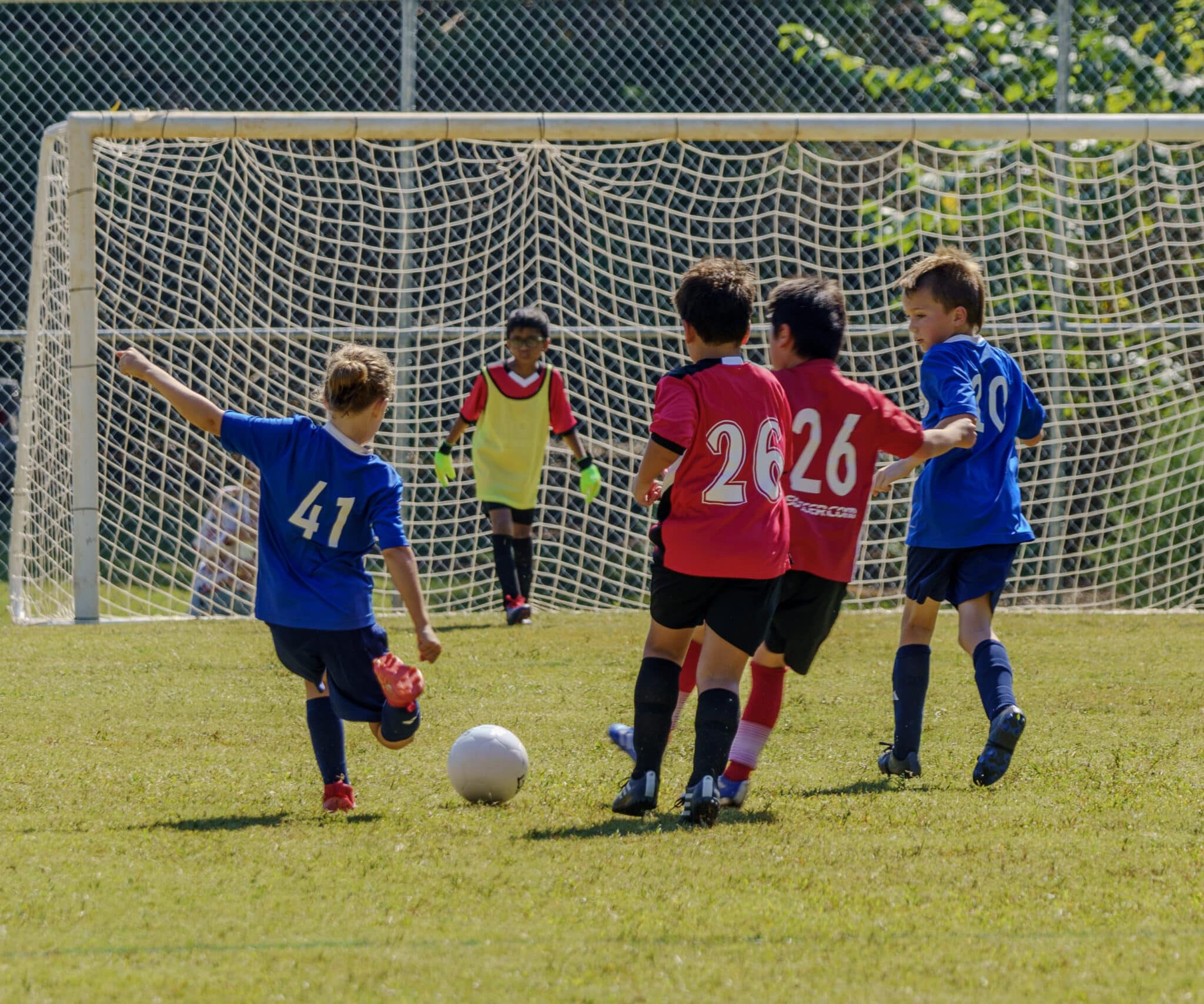 A group of kids, some in blue jerseys and some in red, playing soccer. Number 41 is kicking the ball towards the goal, where the other team's goalie waits.