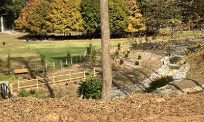 Gwinnett County's Jones Bridge Park in fall.