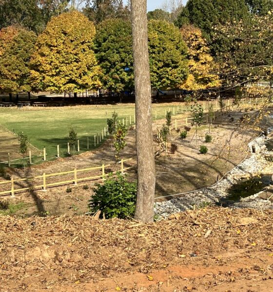 Gwinnett County's Jones Bridge Park in fall.