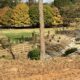 Gwinnett County's Jones Bridge Park in fall.