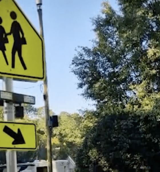 Pedestrian Crossing and One Way signs in a suburban neighborhood. There are power lines overhead and trees in the background.