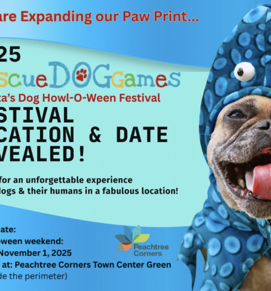 Flyer for Rescue Dog Games Halloween Festival in Peachtree Corners on November 1, 2025. There's a pug dog wearing a blue alien costume with googly eyes along with the festival information on a multi-colored blue background.