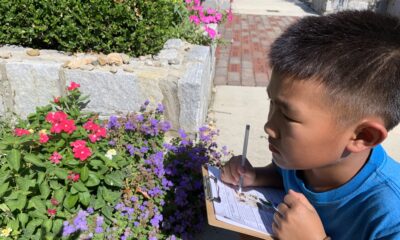 A young Asian boy with short hair, wearing a blue shirt is crouched down in front of red garden flowers. He's holding a clipboard with paper on it and a pencil, checking off something on a list.