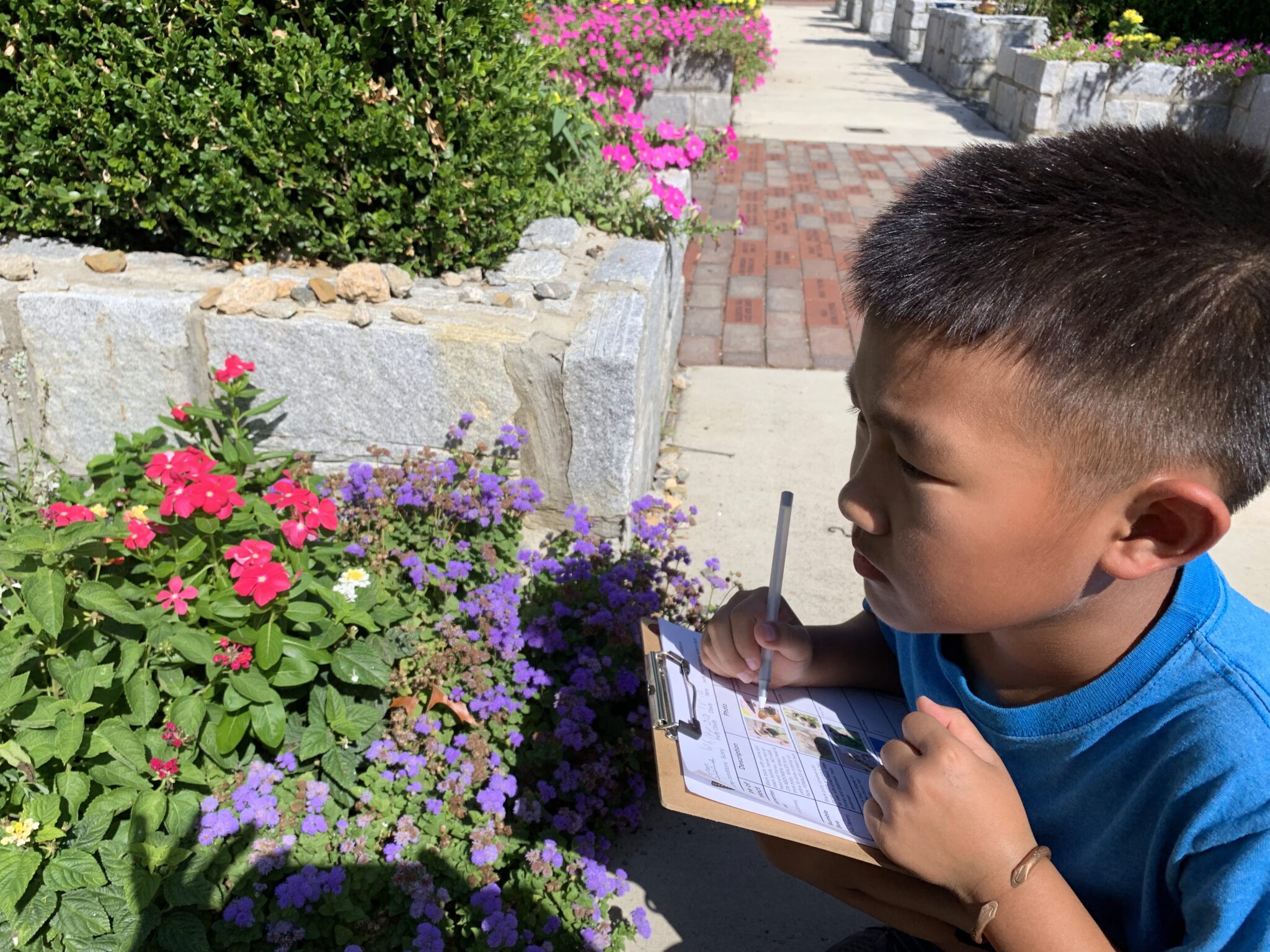 A young Asian boy with short hair, wearing a blue shirt is crouched down in front of red garden flowers. He's holding a clipboard with paper on it and a pencil, checking off something on a list.