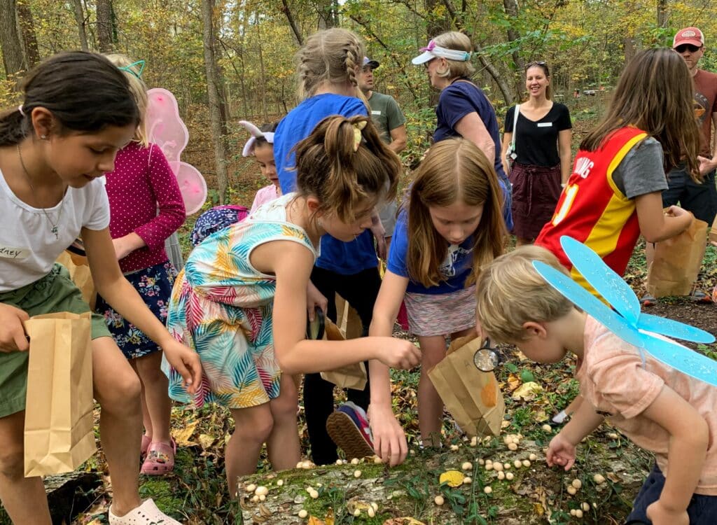 Group of kids in a wooded area for a nature class